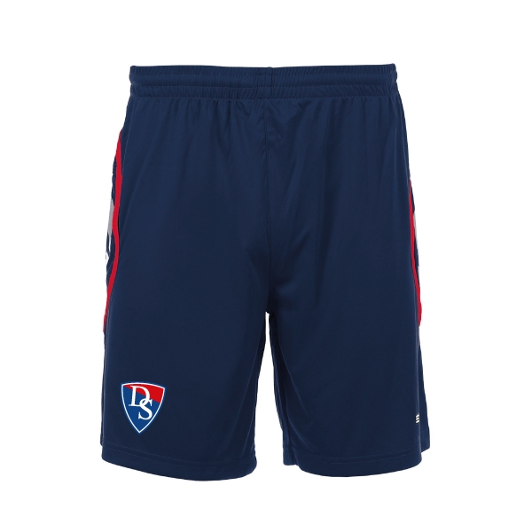 DS Pisa Shorts